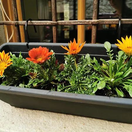 Torre Del Barbarossa Foresteria