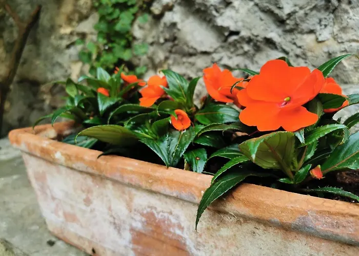 Torre Del Barbarossa Foresteria 3*