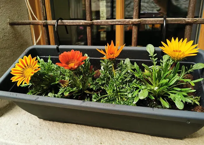 Torre Del Barbarossa Foresteria