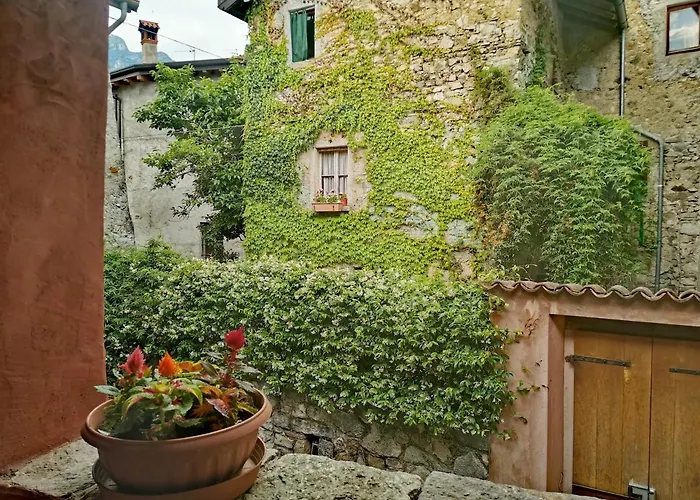 Torre Del Barbarossa Foresteria Отель типа 