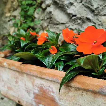 Torre Del Barbarossa Foresteria 3*