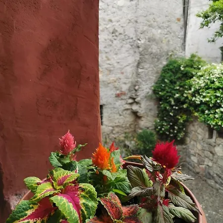 Torre Del Barbarossa Foresteria *